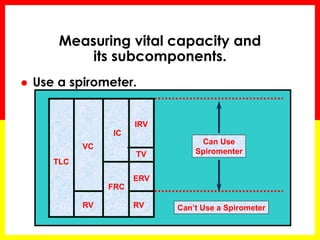 Measuring vital capacity and 
its subcomponents. 
 Use a spirometer. 
TLC 
VC 
RV 
IC 
FRC 
IRV 
ERV 
RV 
Can Use 
Spiromenter 
Can’t Use a Spirometer 
TV 
 