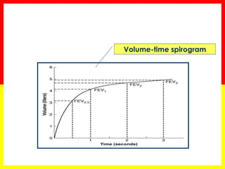 Measurements 
Abbreviation Characteristic measured 
FEV1 Forced expired volume in 1 second 
FVC Forced vital capacity 
FEV...