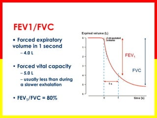 FEV1/FVC 
• Forced expiratory 
volume in 1 second 
– 4.0 L 
• Forced vital capacity 
– 5.0 L 
– usually less than during 
a slower exhalation 
• FEV1/FVC = 80% 
FEV1 
FVC 
 