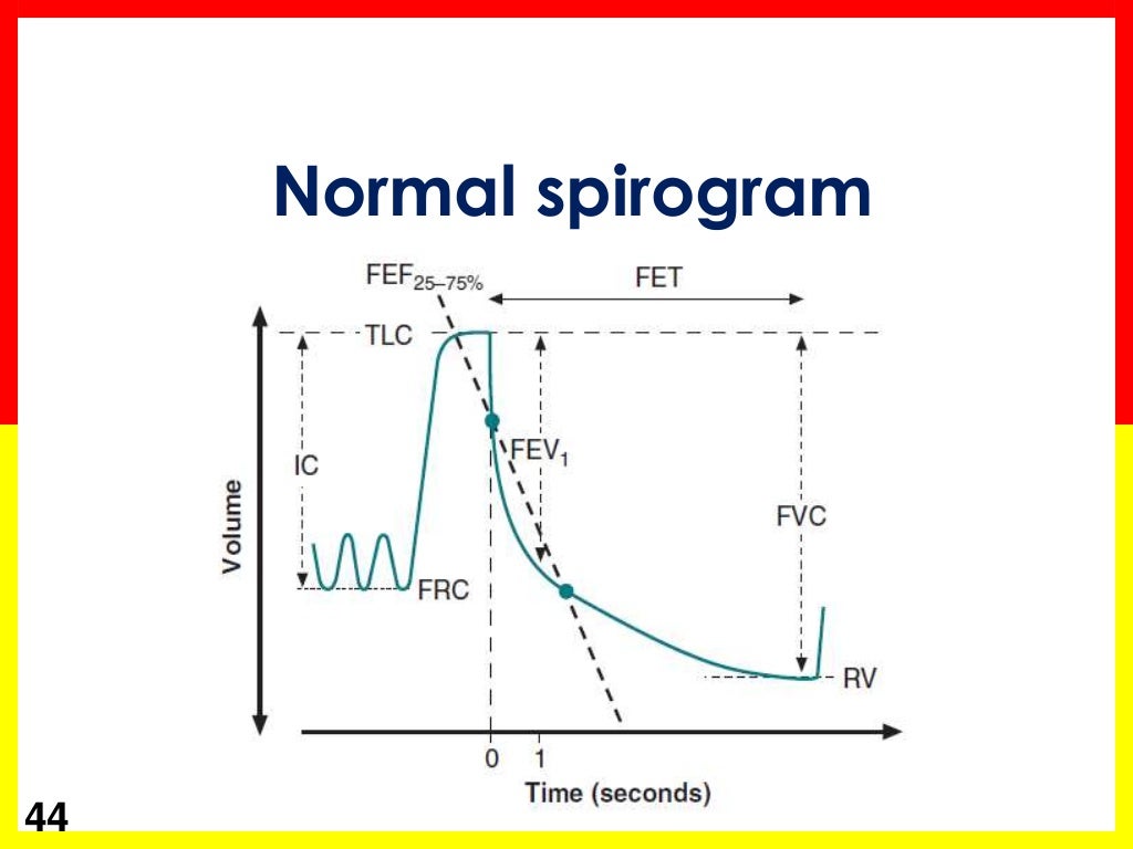 Spirometry Basics