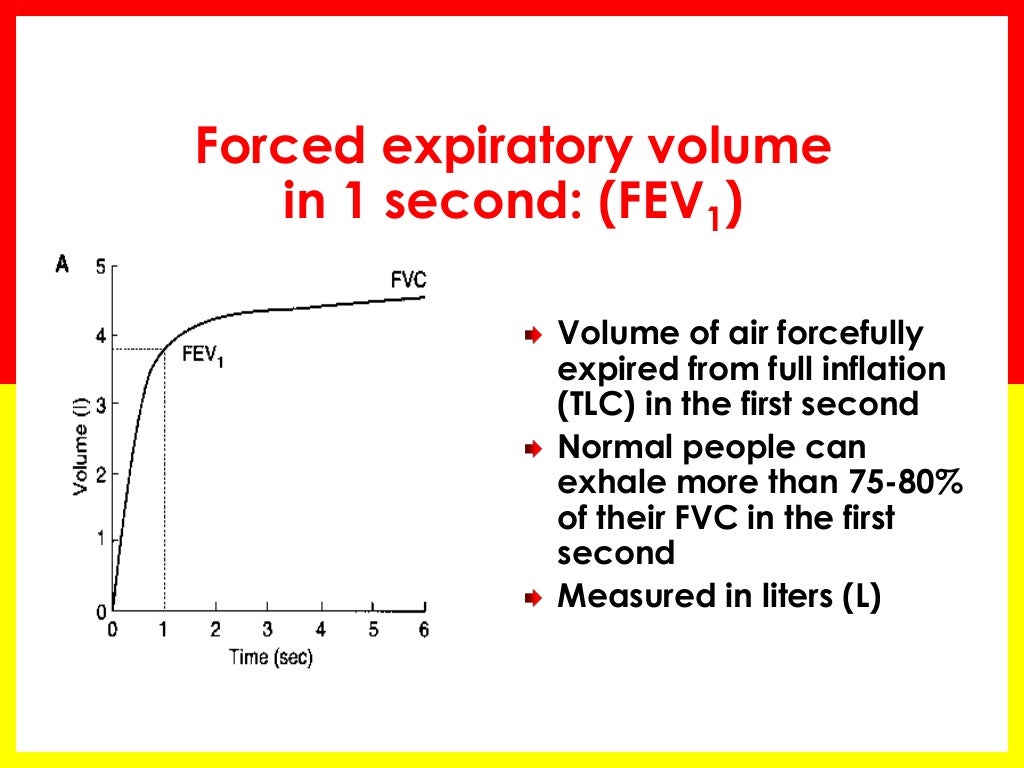 Spirometry Basics