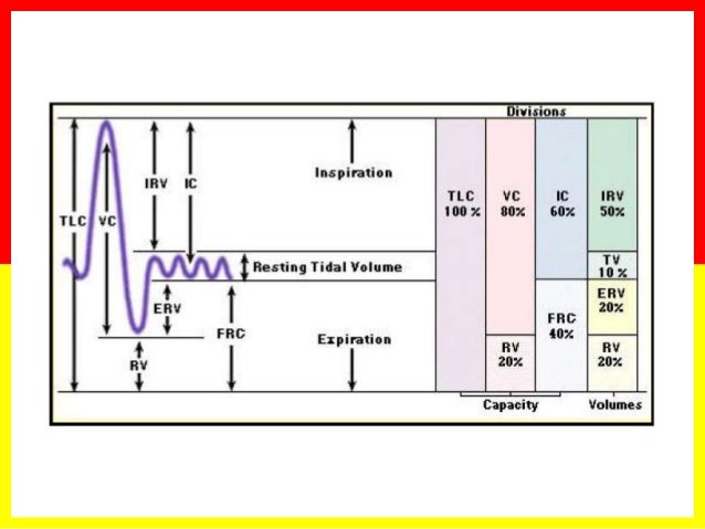 lung volumes