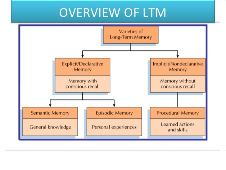 an overview of the different types of long term memory Chapter 6: learning, memory and on common features of different theories three types of memory activation of long-term memory plays a role in. an overview of the different types of long term memory Chapter 6: learning, memory and on common features of different theories three types of memory activation of long-term memory plays a role in.