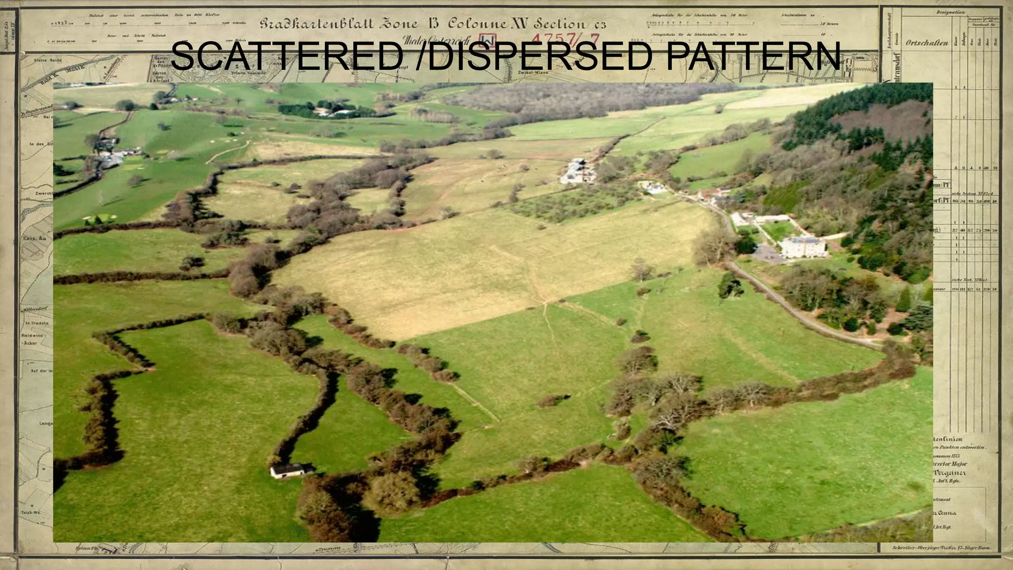 SCATTERED /DISPERSED PATTERN
 