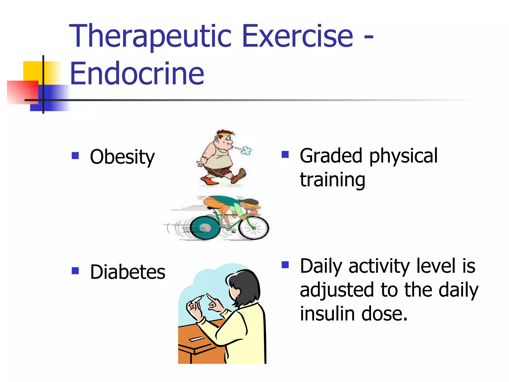 Therapeutic Exercise - Endocrine Obesity  Diabetes Graded physical training  Daily activity level is adjusted to the daily insulin dose. 