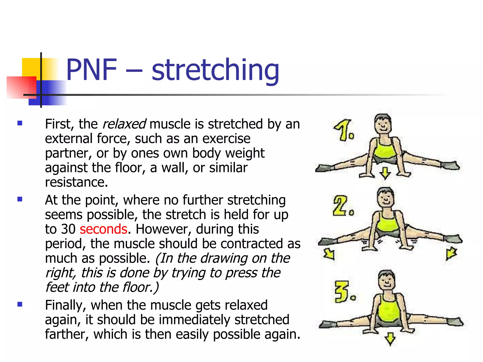 PNF – stretching  First, the  relaxed  muscle is stretched by an external force, such as an exercise partner, or by ones own body weight against the floor, a wall, or similar resistance.  At the point, where no further stretching seems possible, the stretch is held for up to 30  seconds . However, during this period, the muscle should be contracted as much as possible.  (In the drawing on the right, this is done by trying to press the feet into the floor.)   Finally, when the muscle gets relaxed again, it should be immediately stretched farther, which is then easily possible again.  
