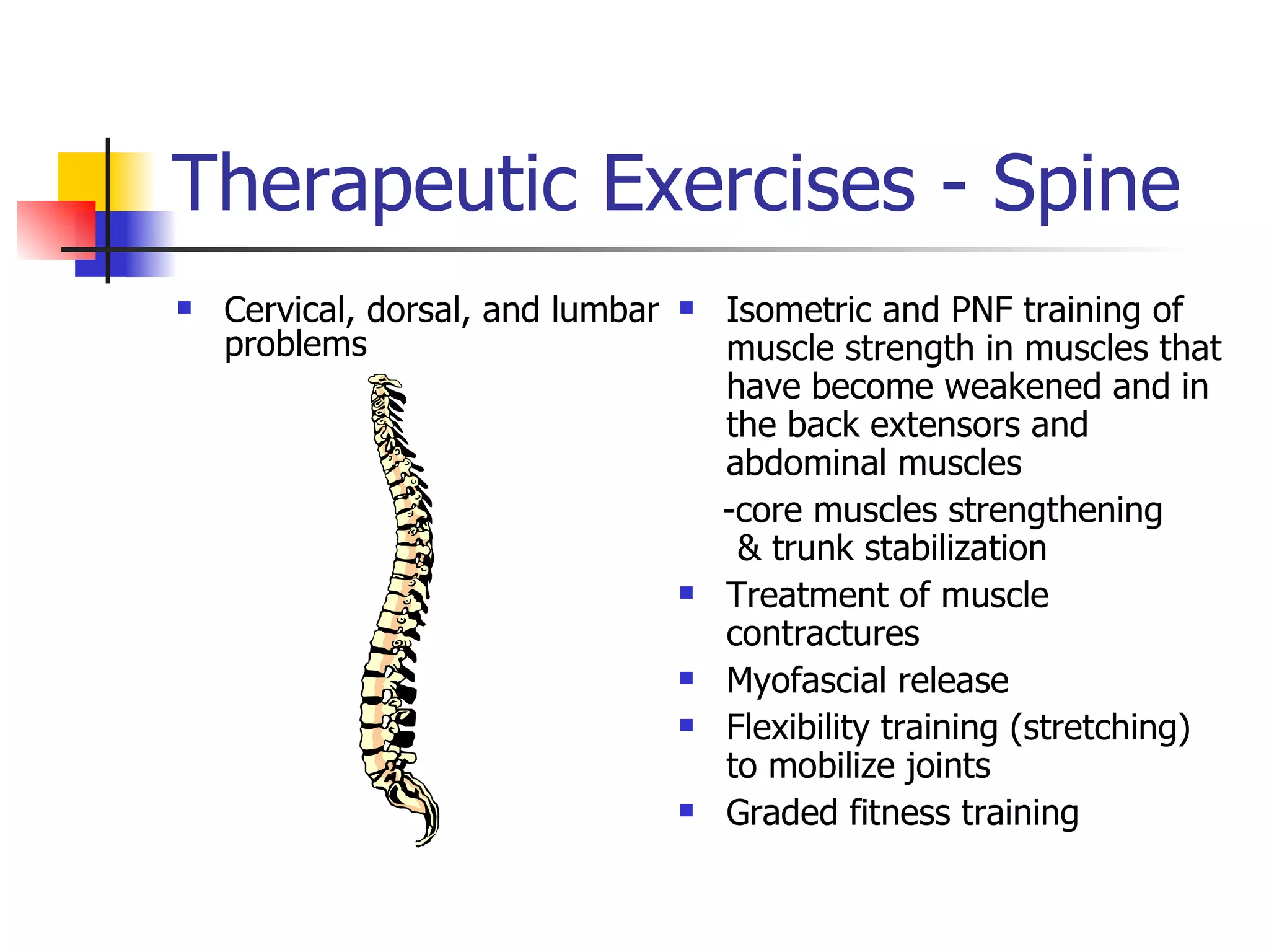 Therapeutic Exercises - Spine Cervical, dorsal, and lumbar problems Isometric and PNF training of muscle strength in muscles that have become weakened and in the back extensors and abdominal muscles  -core muscles strengthening  & trunk stabilization Treatment of muscle contractures  Myofascial release  Flexibility training (stretching) to mobilize joints  Graded fitness training 
