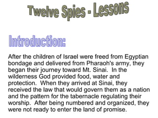After the children of Israel were freed from Egyptian
bondage and delivered from Pharaoh's army, they
began their journey toward Mt. Sinai. In the
wilderness God provided food, water and
protection. When they arrived at Sinai, they
received the law that would govern them as a nation
and the pattern for the tabernacle regulating their
worship. After being numbered and organized, they
were not ready to enter the land of promise.
 