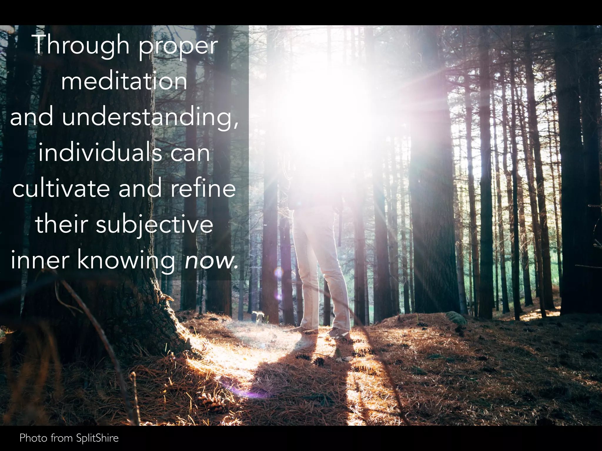 Through proper
meditation
and understanding,
individuals can
cultivate and refine
their subjective
inner knowing now.
Photo from SplitShire
 