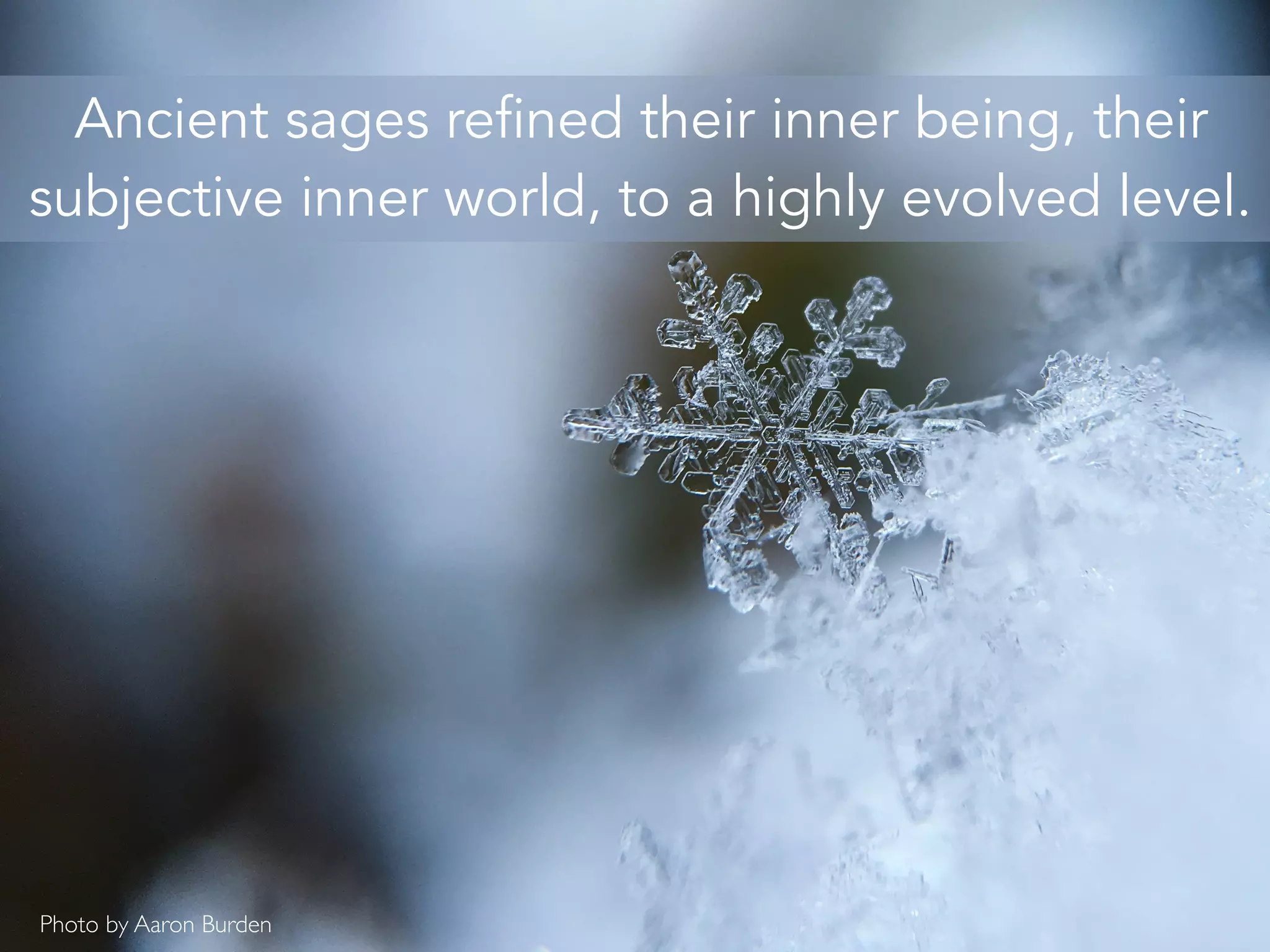 Ancient sages refined their inner being, their
subjective inner world, to a highly evolved level.
Photo by Aaron Burden
 