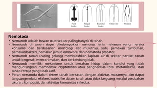 Copy of Tugas Terstruktur Metopen Kelompok 3 Kelas B.pptx