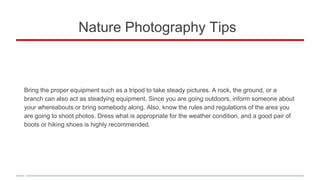 Nature Photography Tips
Bring the proper equipment such as a tripod to take steady pictures. A rock, the ground, or a
branch can also act as steadying equipment. Since you are going outdoors, inform someone about
your whereabouts or bring somebody along. Also, know the rules and regulations of the area you
are going to shoot photos. Dress what is appropriate for the weather condition, and a good pair of
boots or hiking shoes is highly recommended.
 