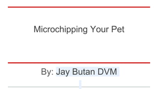 Microchipping Your Pet
By: Jay Butan DVM
 