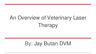 An Overview of Veterinary Laser
Therapy
By: Jay Butan DVM
 