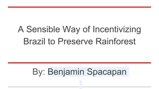A Sensible Way of Incentivizing
Brazil to Preserve Rainforest
By: Benjamin Spacapan
 