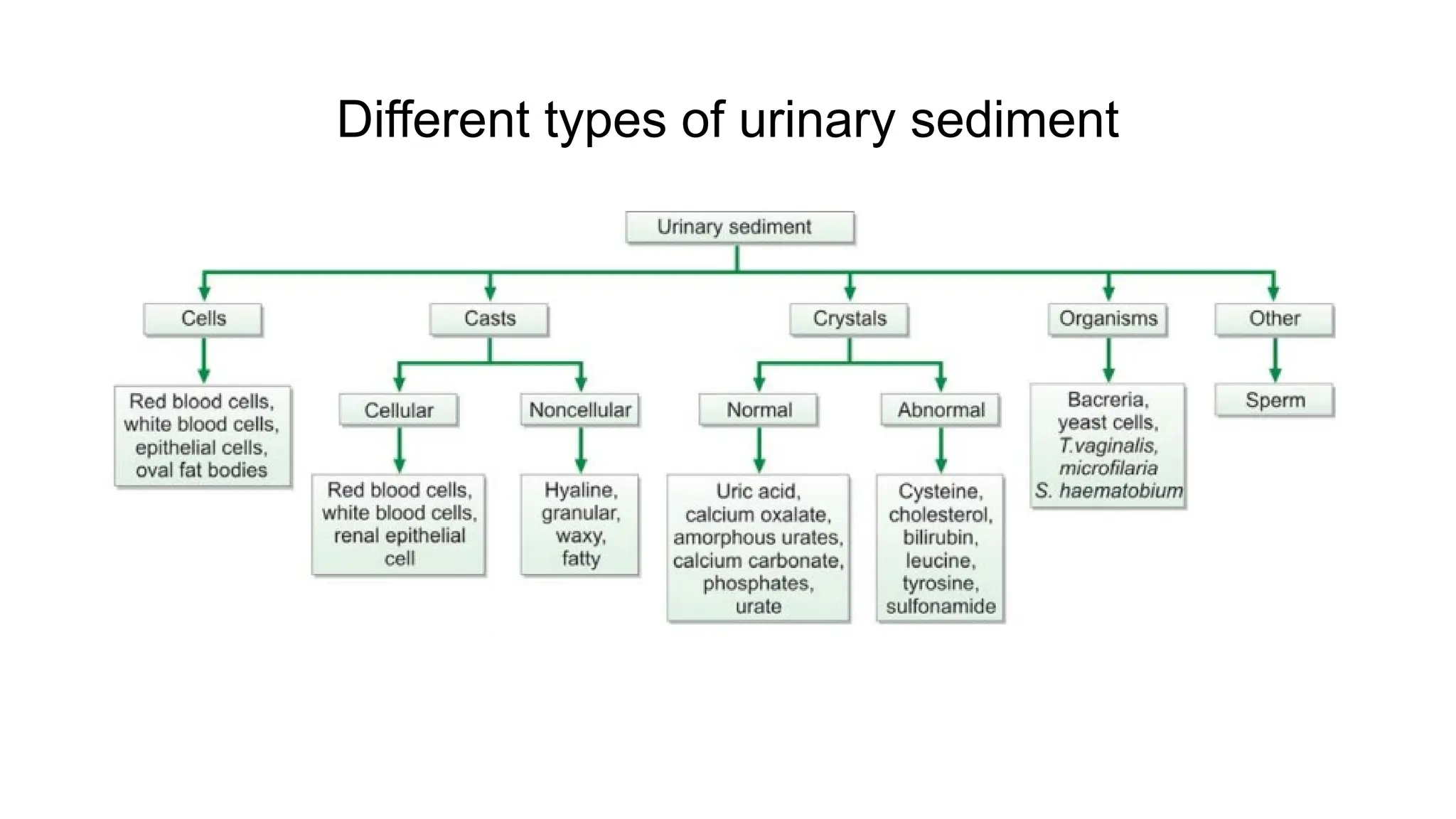 Different types of urinary sediment
 