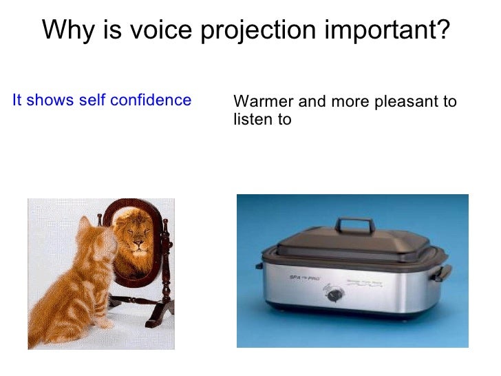 Copy Of Voice Projection