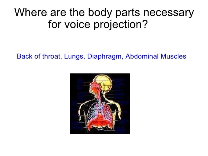 Copy Of Voice Projection
