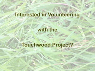 Interested in Volunteering with the Touchwood Project? 