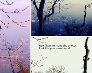 Use filters to make the photos
look like your own brand.
 