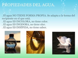 PROPIEDADES DEL AGUA. <ul><li>. El agua NO TIENE FORMA PROPIA. Se adapta a la forma del recipiente en el que está. </li></...