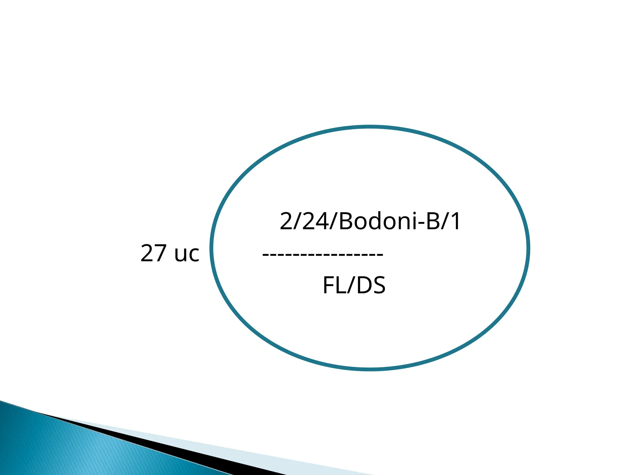 2/24/Bodoni-B/1
27 uc ----------------
FL/DS
 