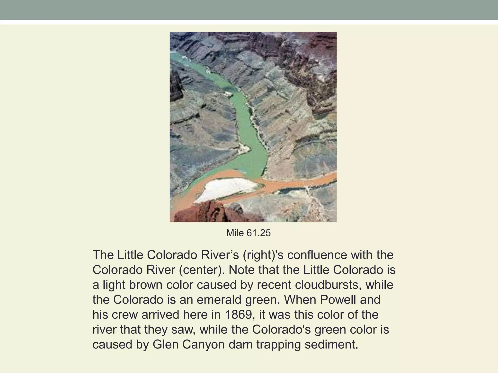Mile 61.25The Little Colorado River’s (right)'s confluence with the Colorado River (center). Note that the Little Colorado is a light brown color caused by recent cloudbursts, while the Colorado is an emerald green. When Powell and his crew arrived here in 1869, it was this color of the river that they saw, while the Colorado's green color is caused by Glen Canyon dam trapping sediment.