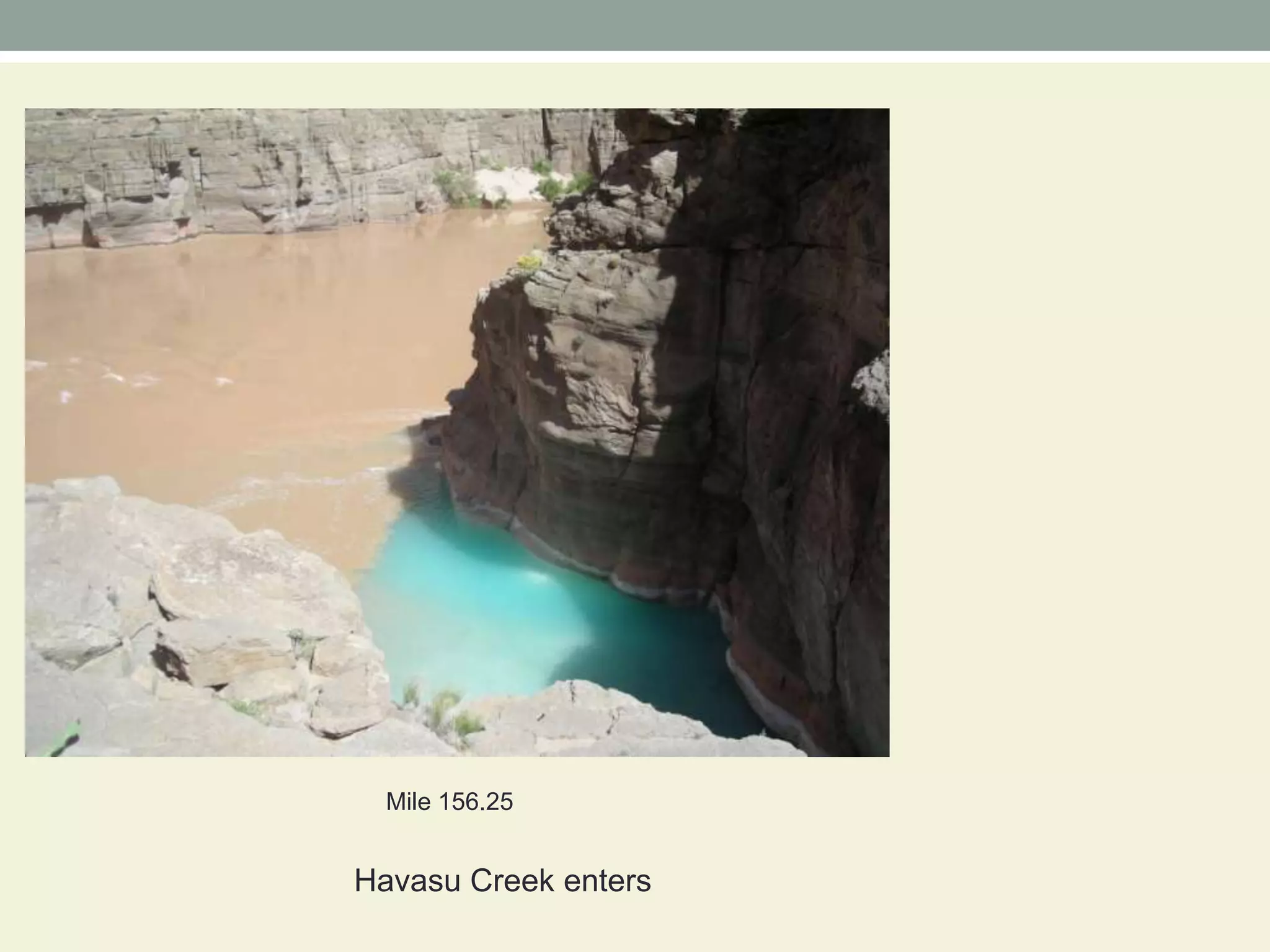 Mile 156.25  Havasu Creek enters
