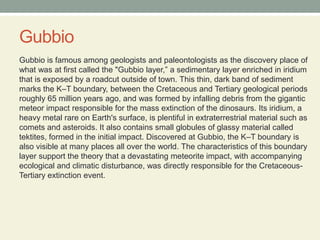 GubbioGubbio is famous among geologists and paleontologists as the discovery place of what was at first called the "Gubbio layer,” a sedimentary layer enriched in iridium that is exposed by a roadcut outside of town. This thin, dark band of sediment marks the K–T boundary, between the Cretaceous and Tertiary geological periods roughly 65 million years ago, and was formed by infalling debris from the gigantic meteor impact responsible for the mass extinction of the dinosaurs. Its iridium, a heavy metal rare on Earth's surface, is plentiful in extraterrestrial material such as comets and asteroids. It also contains small globules of glassy material called tektites, formed in the initial impact. Discovered at Gubbio, the K–T boundary is also visible at many places all over the world. The characteristics of this boundary layer support the theory that a devastating meteorite impact, with accompanying ecological and climatic disturbance, was directly responsible for the Cretaceous-Tertiary extinction event.