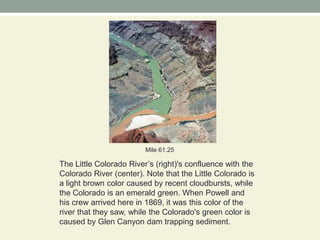 Mile 61.25The Little Colorado River’s (right)'s confluence with the Colorado River (center). Note that the Little Colorado is a light brown color caused by recent cloudbursts, while the Colorado is an emerald green. When Powell and his crew arrived here in 1869, it was this color of the river that they saw, while the Colorado's green color is caused by Glen Canyon dam trapping sediment.