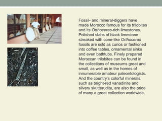 Fossil- and mineral-diggers have made Morocco famous for its trilobites and its Orthoceras-rich limestones. Polished slabs of black limestone streaked with cone-like Orthoceras fossils are sold as curios or fashioned into coffee tables, ornamental sinks and even bathtubs. Finely prepared Moroccan trilobites can be found in the collections of museums great and small, as well as in the homes of innumerable amateur paleontologists. And the country’s colorful minerals, such as bright-red vanadinite and silvery skutterudite, are also the pride of many a great collection worldwide.