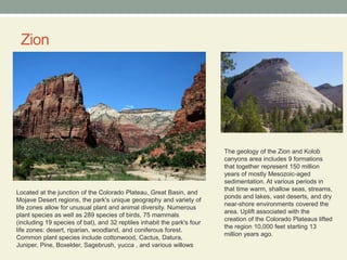 ZionThe geology of the Zion and Kolob canyons area includes 9 formations that together represent 150 million years of mostly Mesozoic-aged sedimentation. At various periods in that time warm, shallow seas, streams, ponds and lakes, vast deserts, and dry near-shore environments covered the area. Uplift associated with the creation of the Colorado Plateaus lifted the region 10,000 feet starting 13 million years ago.Located at the junction of the Colorado Plateau, Great Basin, and Mojave Desert regions, the park's unique geography and variety of life zones allow for unusual plant and animal diversity. Numerous plant species as well as 289 species of birds, 75 mammals (including 19 species of bat), and 32 reptiles inhabit the park's four life zones: desert, riparian, woodland, and coniferous forest. Common plant species include cottonwood, Cactus, Datura, Juniper, Pine, Boxelder, Sagebrush, yucca , and various willows