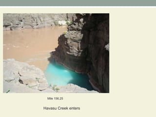 Mile 156.25  Havasu Creek enters