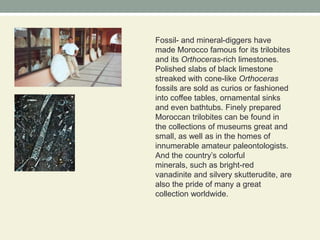 Fossil- and mineral-diggers have made Morocco famous for its trilobites and its Orthoceras-rich limestones. Polished slabs of black limestone streaked with cone-like Orthoceras fossils are sold as curios or fashioned into coffee tables, ornamental sinks and even bathtubs. Finely prepared Moroccan trilobites can be found in the collections of museums great and small, as well as in the homes of innumerable amateur paleontologists. And the country’s colorful minerals, such as bright-red vanadinite and silvery skutterudite, are also the pride of many a great collection worldwide.