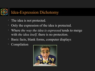 Idea-Expression Dichotomy <ul><li>The idea is not protected. </li></ul><ul><li>Only the expression of the idea is protecte...