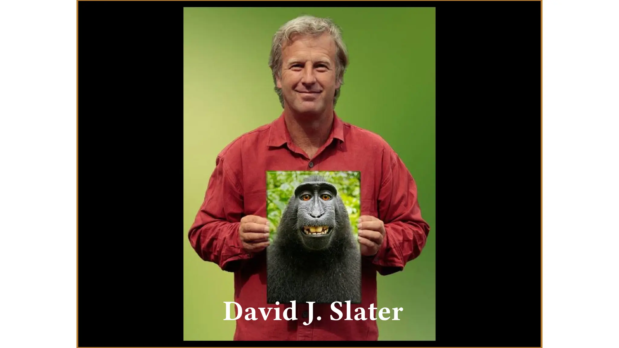 David J. Slater
 