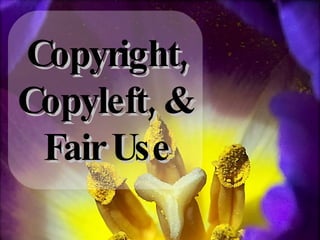 Copyright, Copyleft, &  Fair Use 