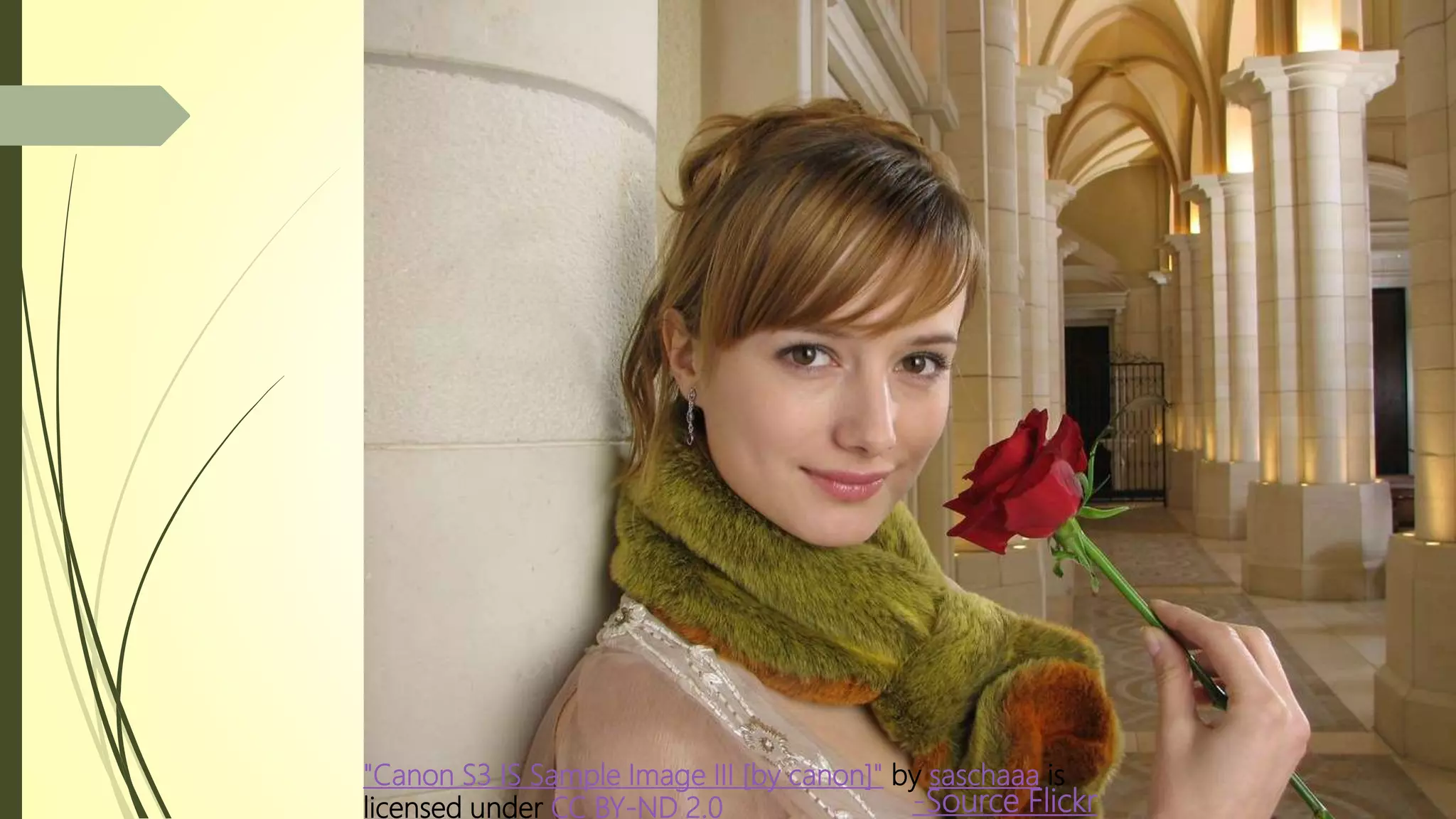 "Canon S3 IS Sample Image III [by canon]" by saschaaa is
licensed under CC BY-ND 2.0 -Source Flickr
 