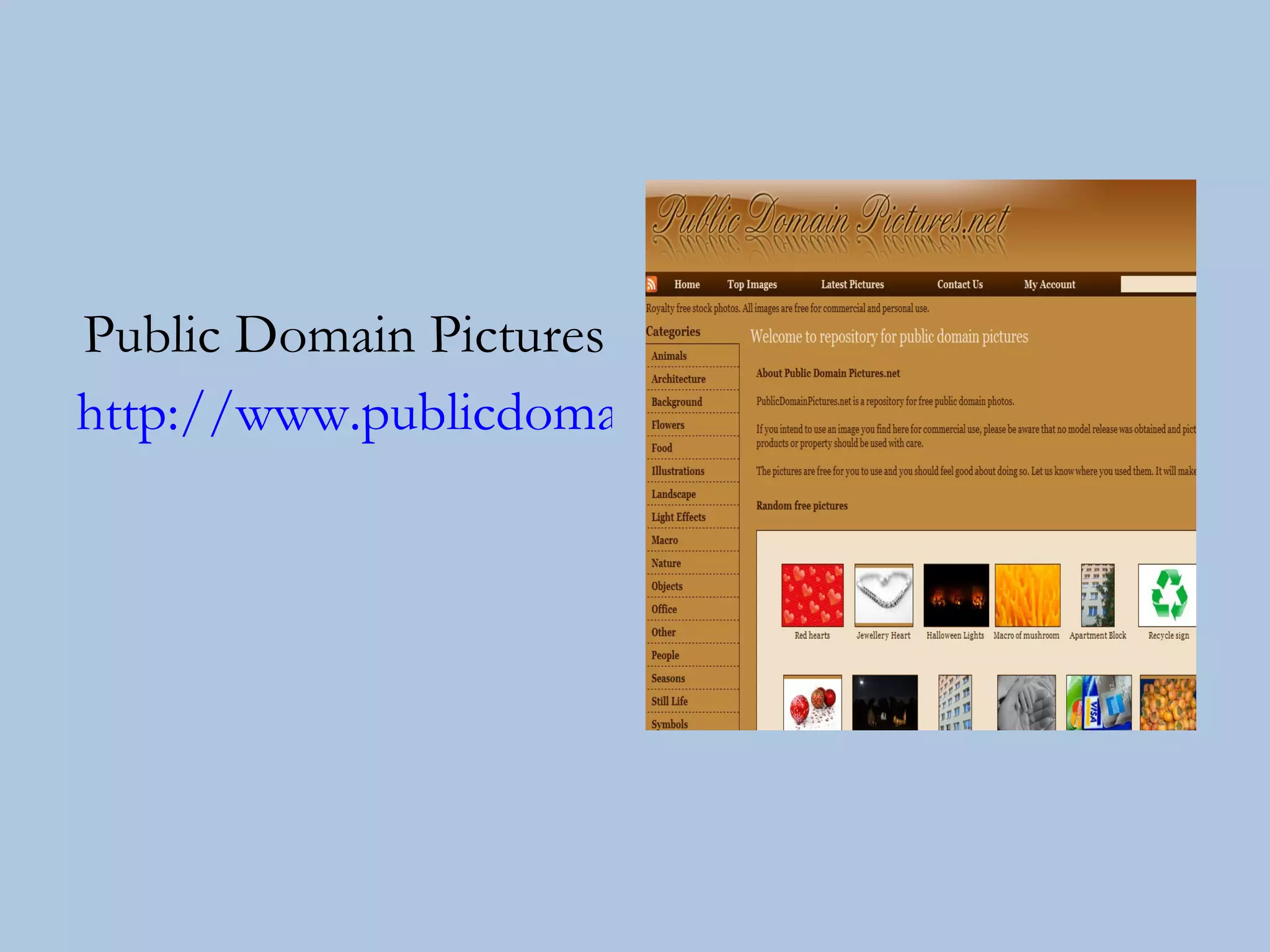 Public Domain Pictures http://www.publicdomainpictures.net/   