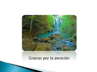 Gracias por la atención
 