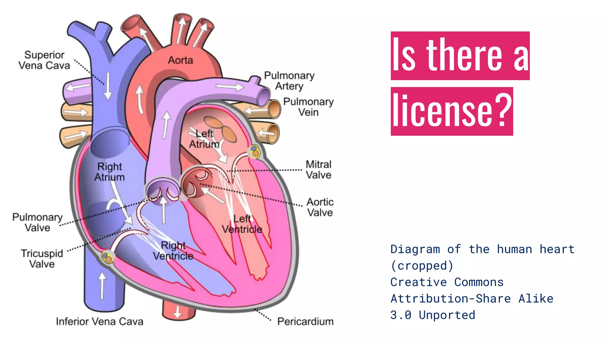 Is there a
license?
Diagram of the human heart
(cropped)
Creative Commons
Attribution-Share Alike
3.0 Unported
 