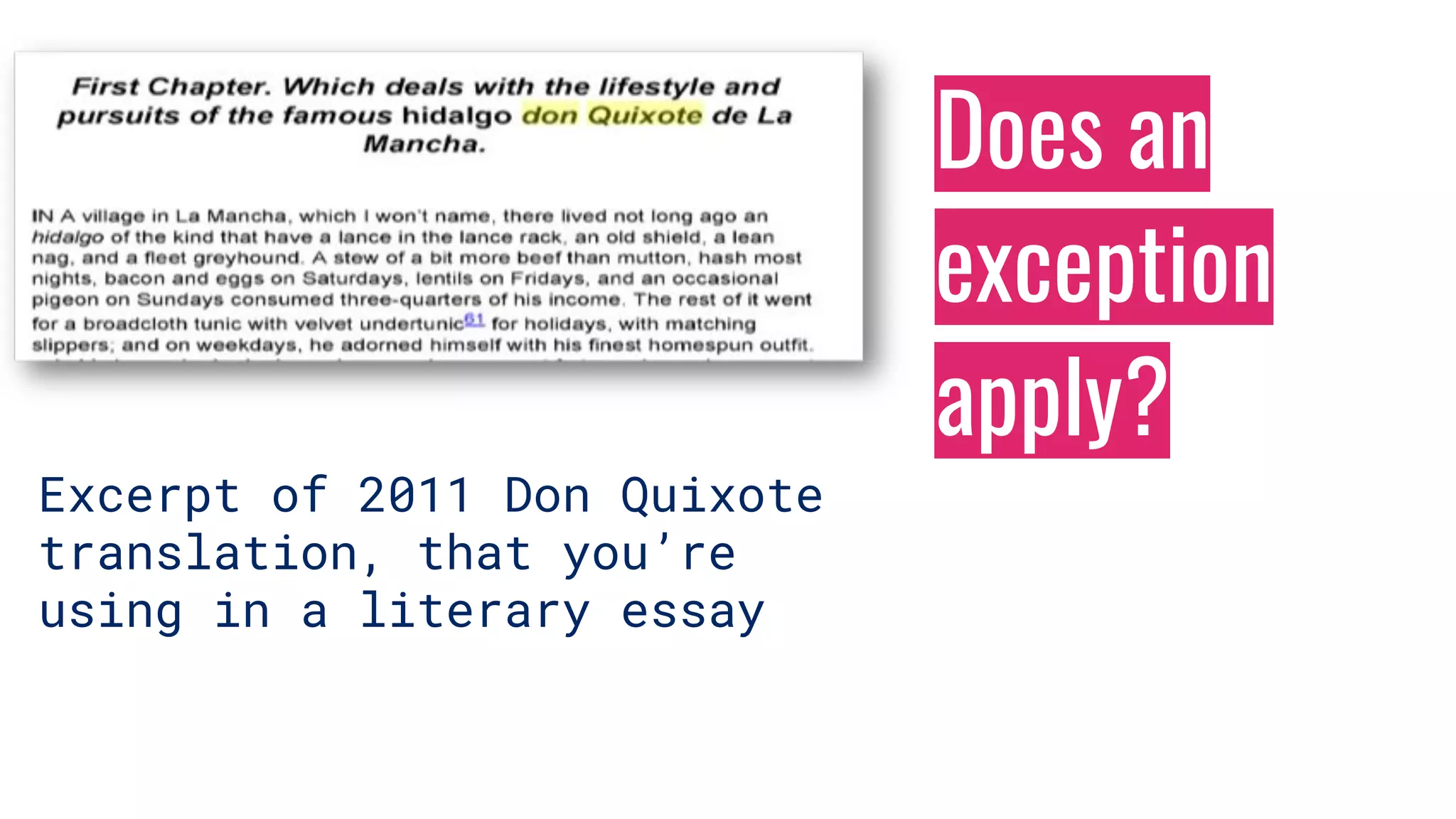 Does an
exception
apply?
Excerpt of 2011 Don Quixote
translation, that you’re
using in a literary essay
 