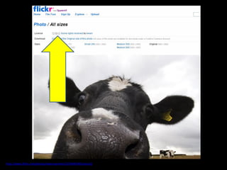 CC image from
http://www.flickr.com/photos/ewanrayment/1250049249/sizes/o/
 