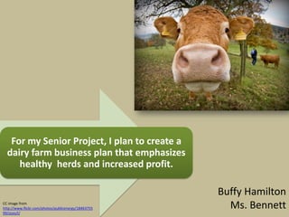 For my Senior Project, I plan to create a
  dairy farm business plan that emphasizes
     healthy herds and increased profit.

                                                     Buffy Hamilton
CC image from
http://www.flickr.com/photos/publicenergy/18463755     Ms. Bennett
99/sizes/l/
 