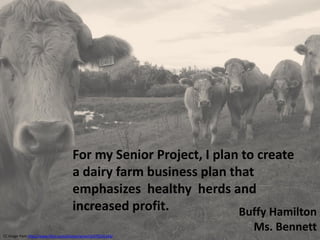 For my Senior Project, I plan to create
                                      a dairy farm business plan that
                                      emphasizes healthy herds and
                                      increased profit.            Buffy Hamilton
                                                                     Ms. Bennett
CC image from http://www.flickr.com/photos/iamart3/478545143/
 