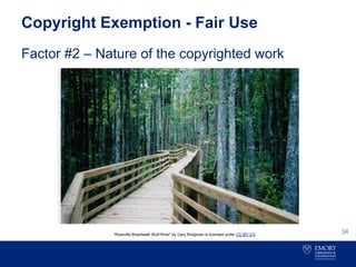 Copyright Exemption - Fair Use
Factor #2 – Nature of the copyrighted work
34“Rossville Boardwalk Wolf River” by Gary Bridgman is licensed under CC-BY 2.5.
 