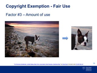 Copyright Exemption - Fair Use
Factor #3 – Amount of use
36“’An American Gentleman’, United States, New York, Long Island, East Hampton, Gardiners Bay” by Chris Ford is licensed under CC-BY-NC 2.0
 