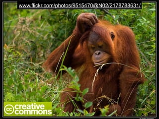 Copyright for Educators