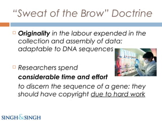 “Sweat of the Brow” Doctrine
 Originality in the labour expended in the
collection and assembly of data:
adaptable to DNA sequences
 Researchers spend
considerable time and effort
to discern the sequence of a gene: they
should have copyright due to hard work
 