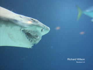 Richard Wilson
       Revision 0.4
 